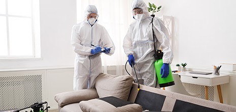 bio hazard cleanup